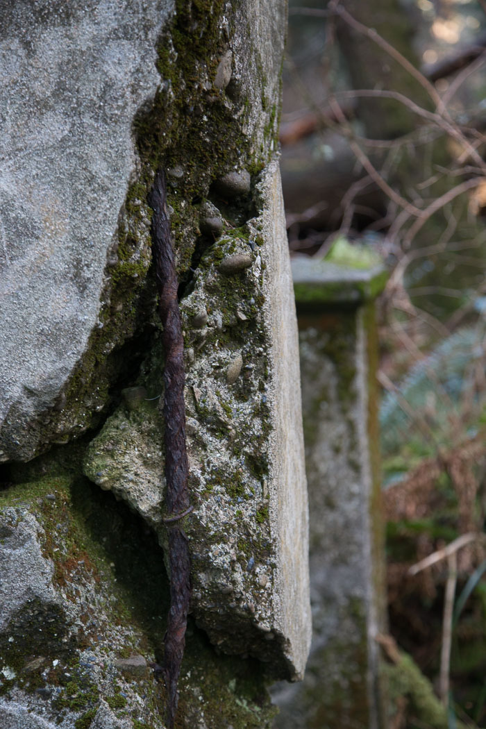 Shore Acres and Sunset Bay State Park