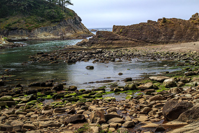 Shore Acres and Sunset Bay State Park