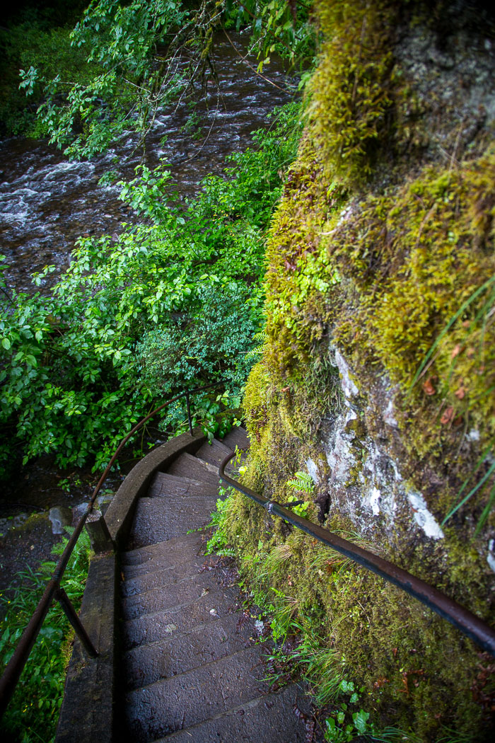Columbia Gorge Falls Area