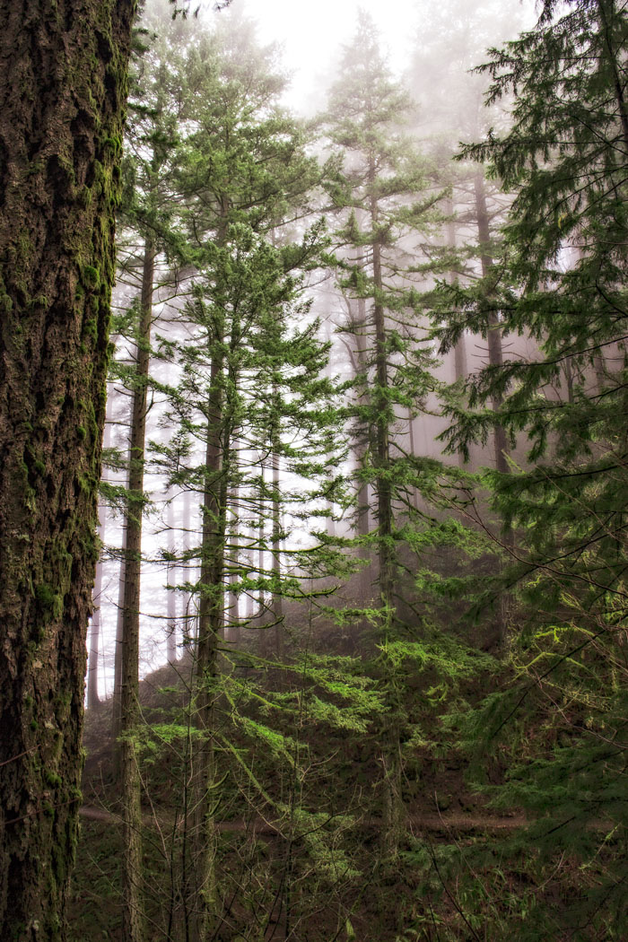 Columbia Gorge Falls Area