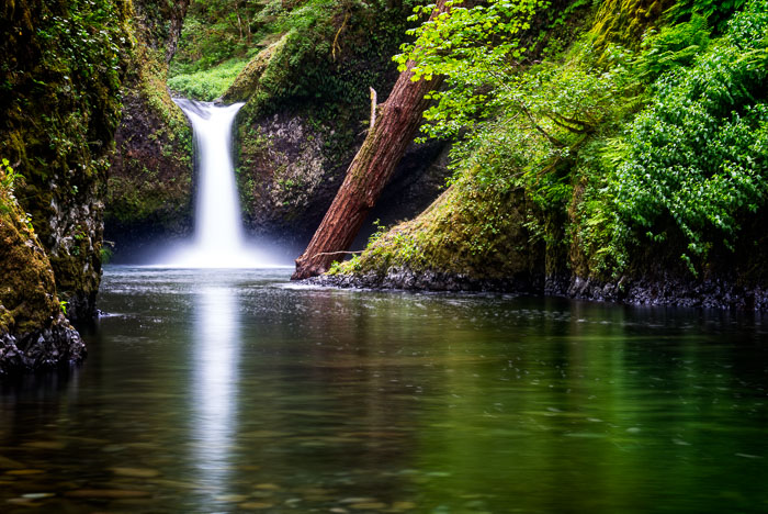Columbia Gorge Falls Area