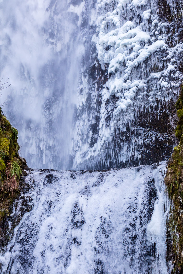 Chasing Ice