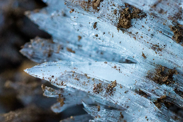 Chasing Ice