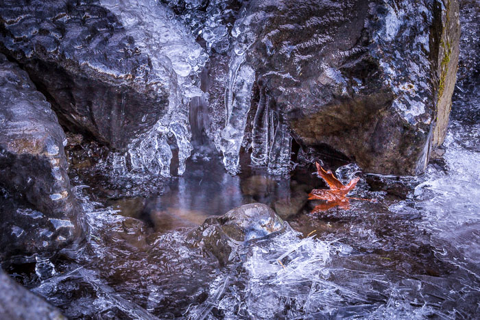 Chasing Ice Chasing Ice