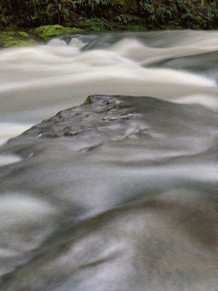 Lacamas Lake Regional Park