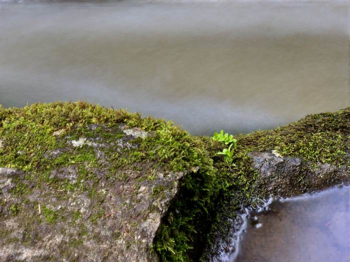 Lacamas Lake Regional Park