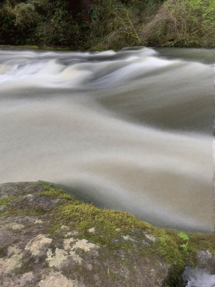 Lacamas Lake Regional Park