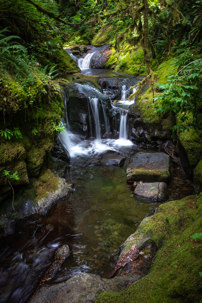 Washington Side of the Gorge