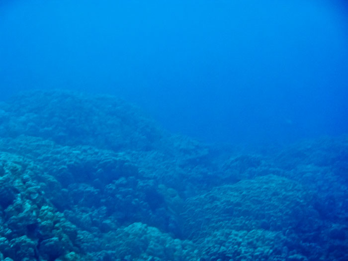 Pu'uhonua o Honaunau Bay (Two Step)