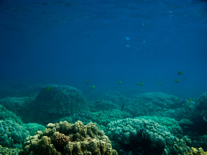 Pu'uhonua o Honaunau Bay (Two Step)