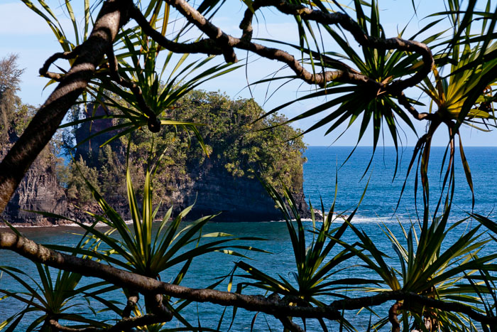 North Kohala, Hāmākua,Hāmākua, North Hilo Districts North Kohala, Hāmākua,Hāmākua, North Hilo Districts