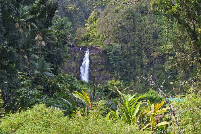 North Kohala, Hāmākua,Hāmākua, North Hilo Districts