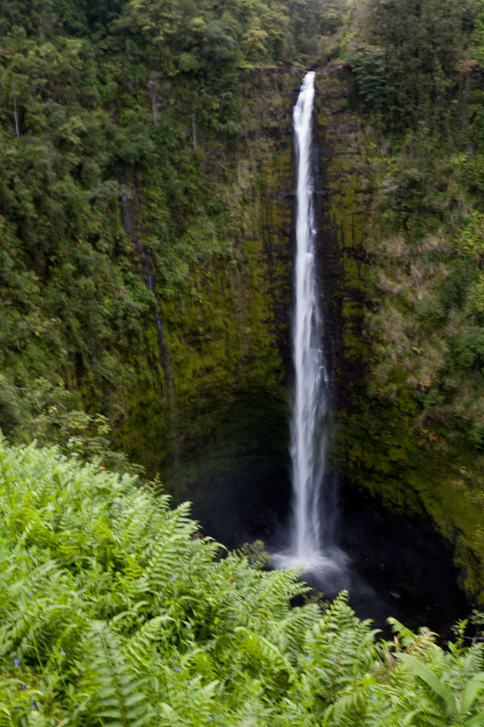 North Kohala, Hāmākua,Hāmākua, North Hilo Districts