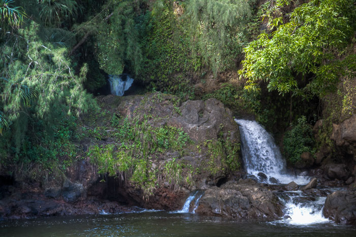 North Kohala, Hāmākua,Hāmākua, North Hilo Districts