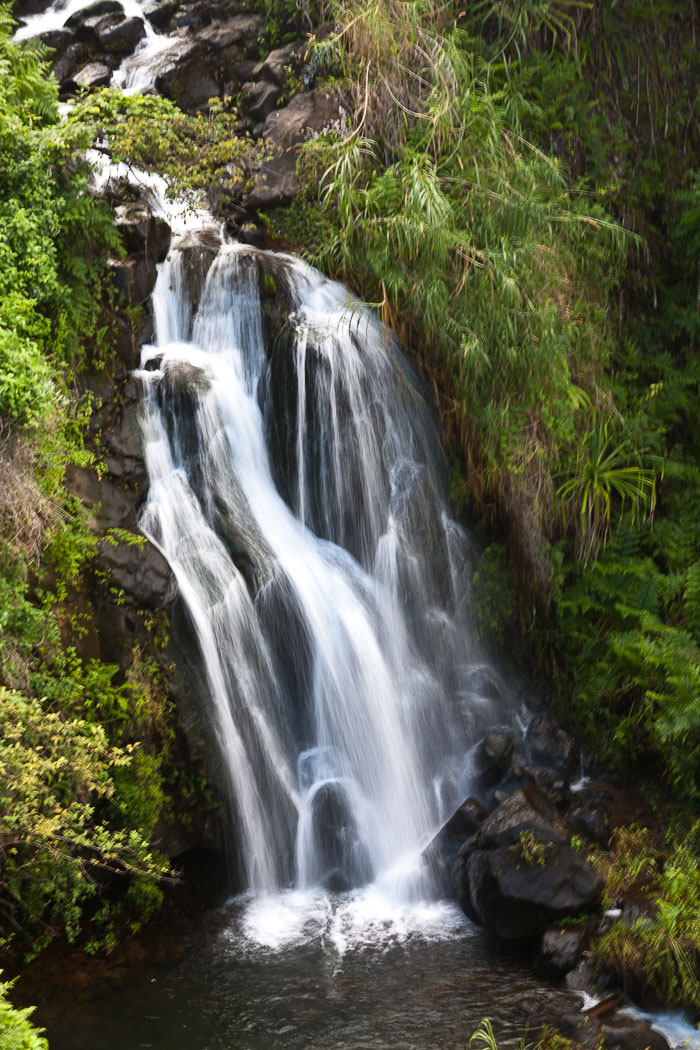 North Kohala, Hāmākua,Hāmākua, North Hilo Districts