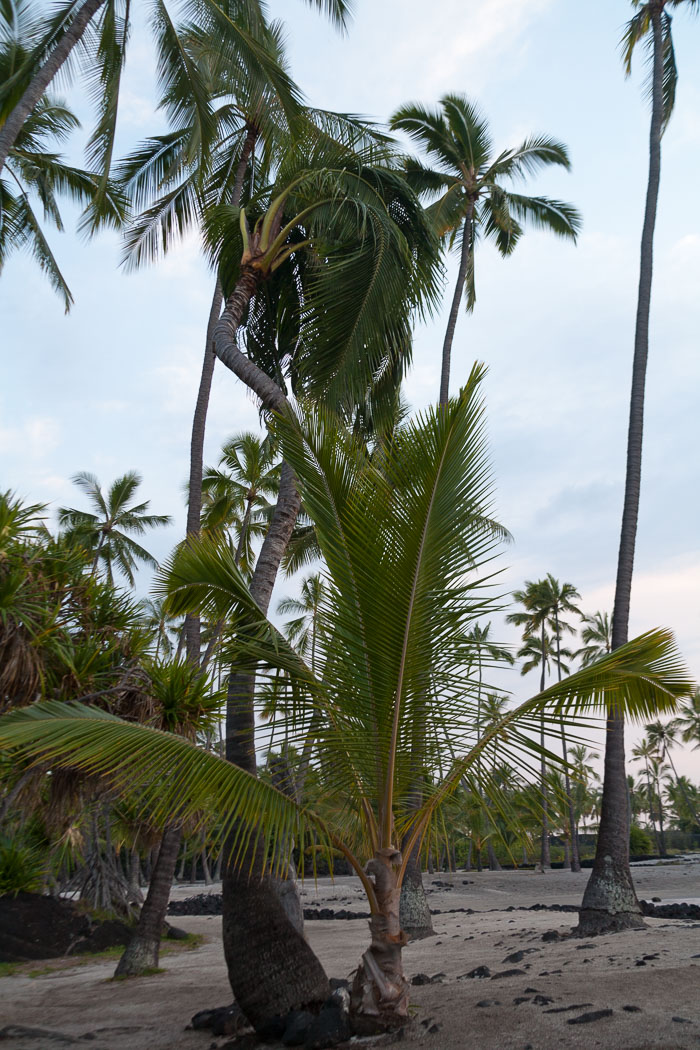 Puʻuhonua o Hōnaunau