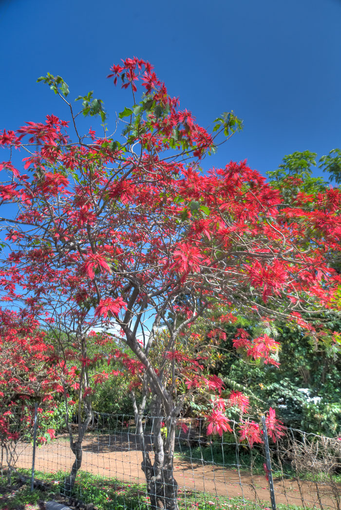 Ka Lae 