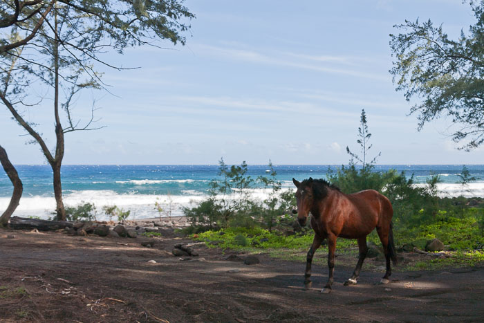 Waipi'o Valley