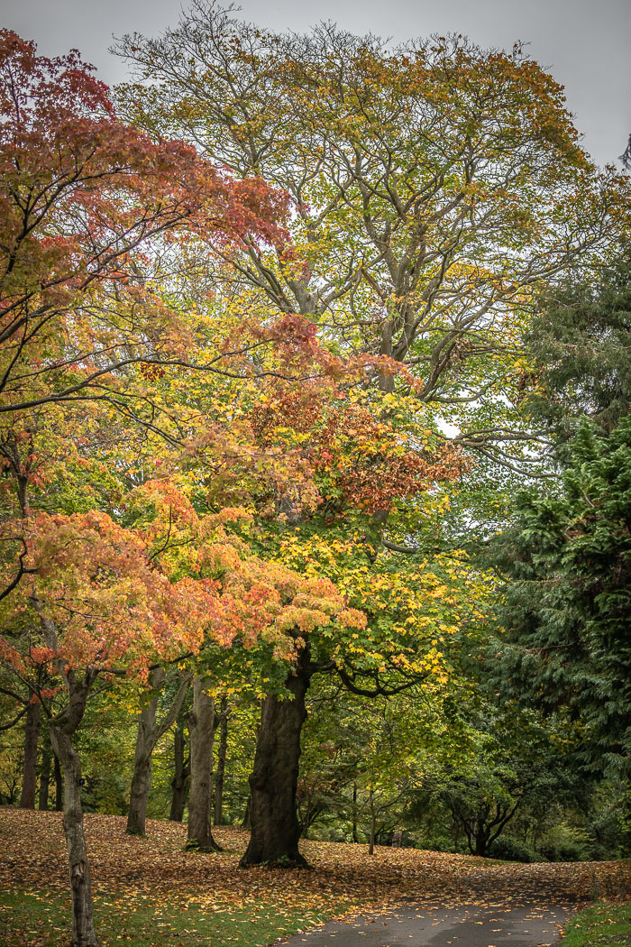 National Botanic Gardens