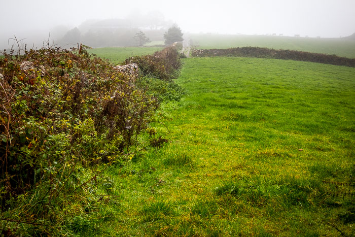 County Cork