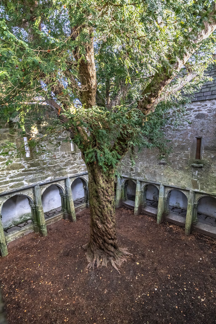 Muckross Peninsula