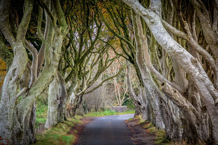 Northern Ireland