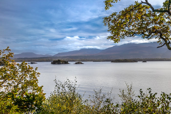Ross Castle Area