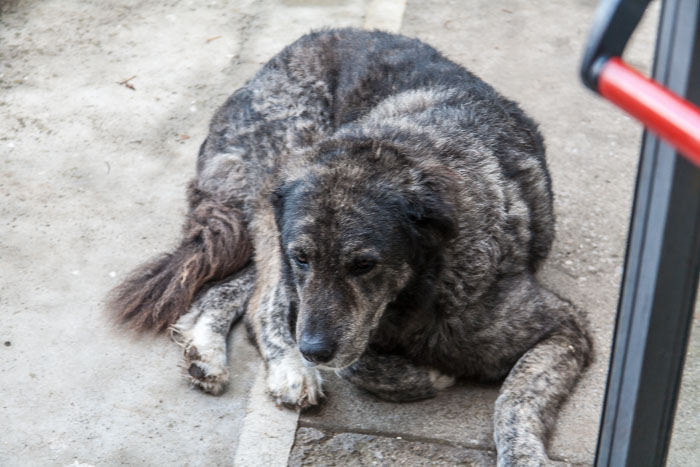 Agriturismo Monte Brusara