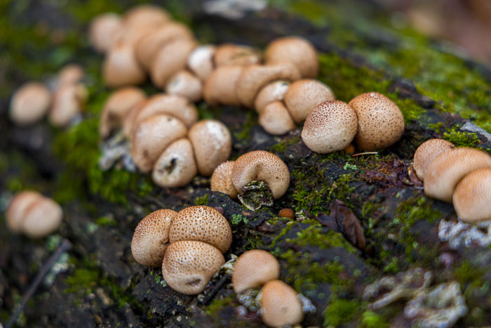 Devil's Lake State Park