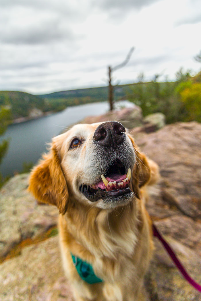 Devil's Lake State Park