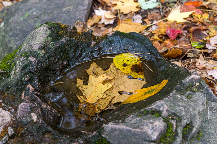 Devil's Lake State Park