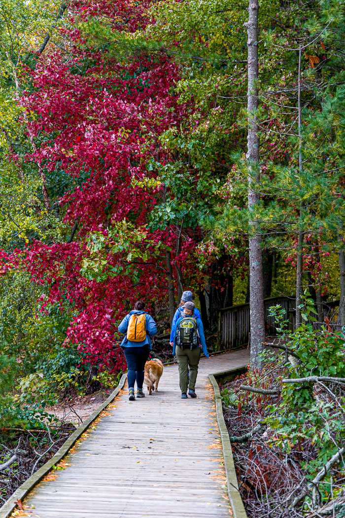 Devil's Lake State Park