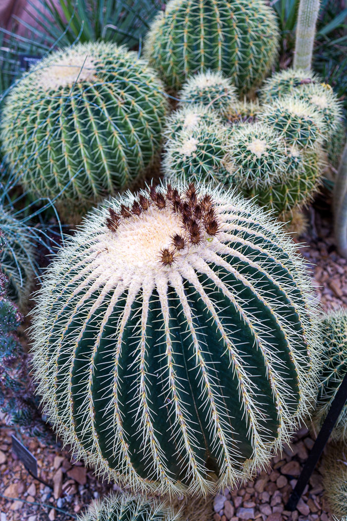 Mitchell Park Domes