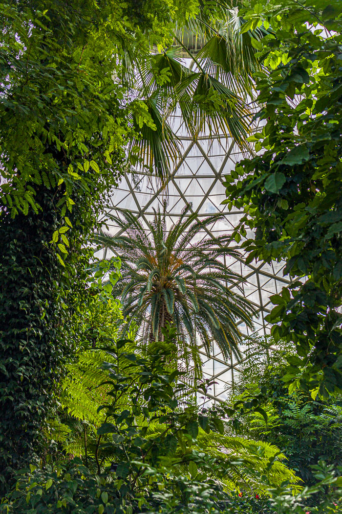 Mitchell Park Domes