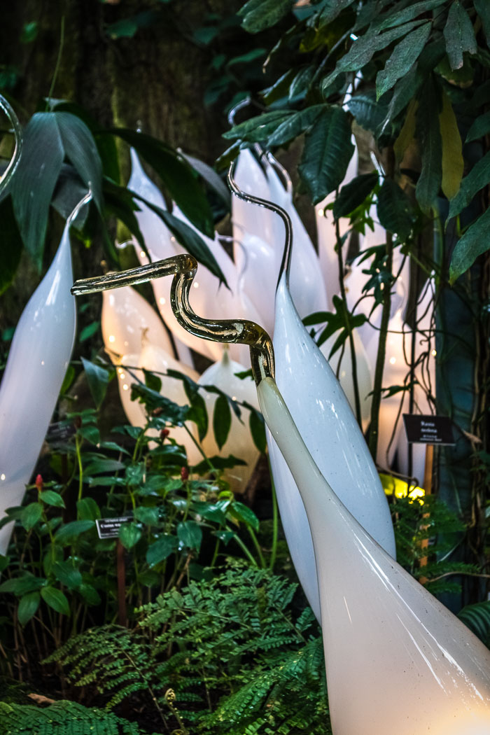 New York Botanical Gardens New York Botanical Gardens