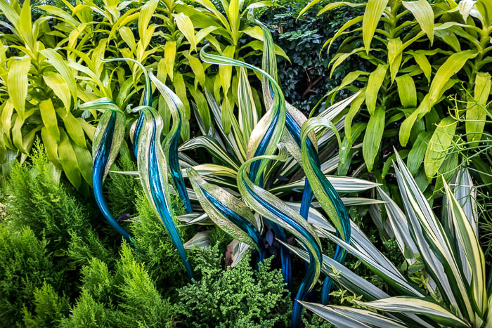 New York Botanical Gardens