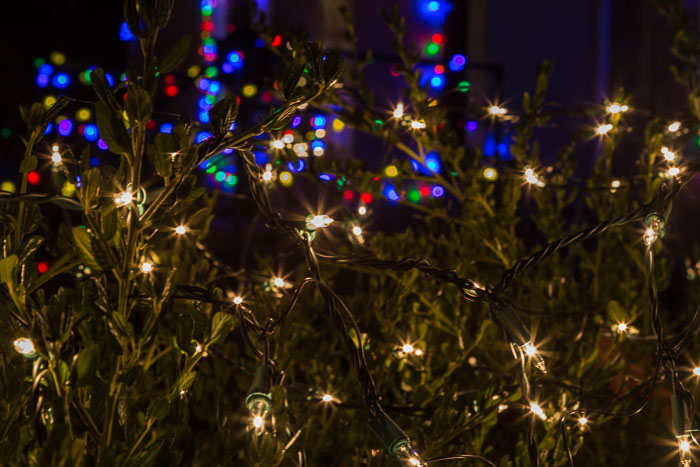 Holiday Lights