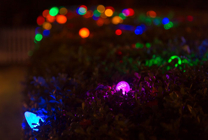 Holiday Lights