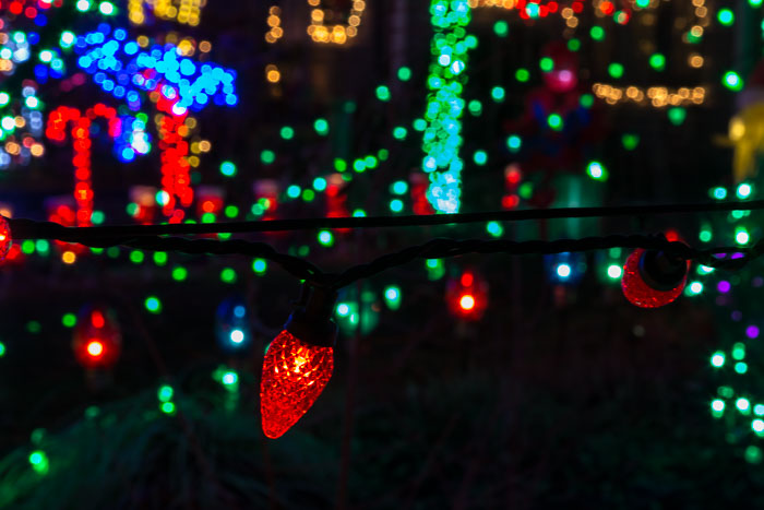 Holiday Lights