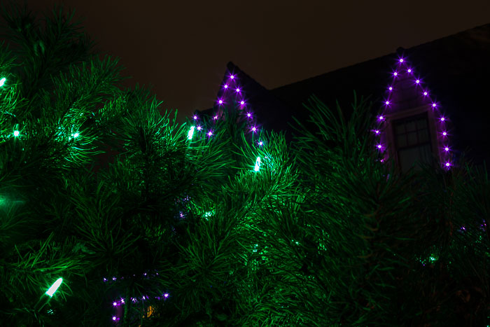 Holiday Lights Holiday Lights