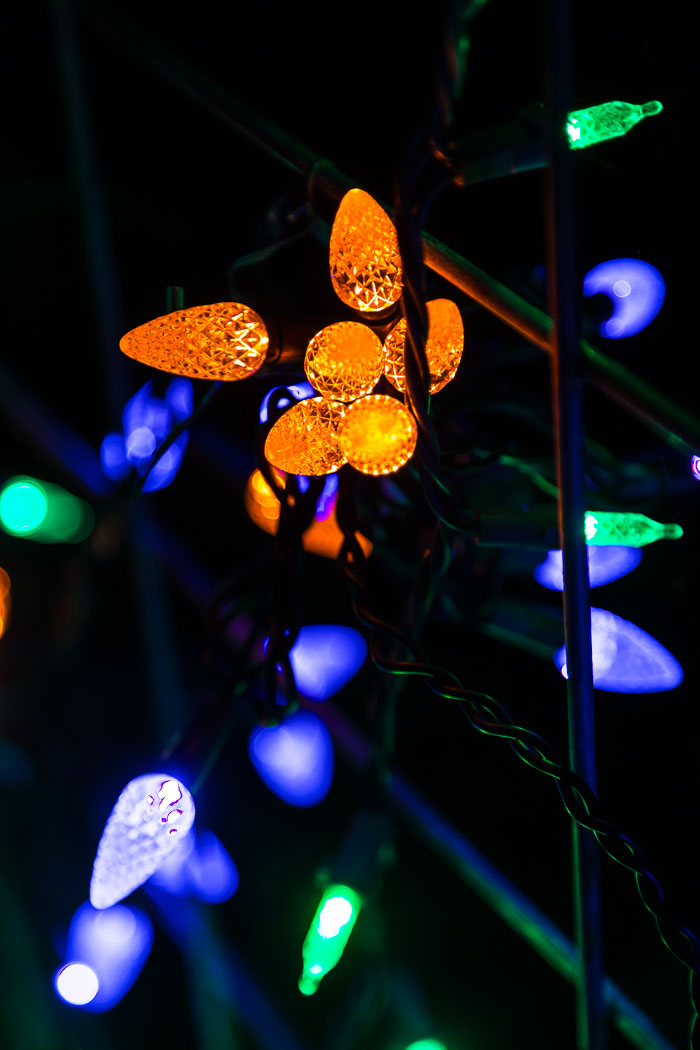 Holiday Lights