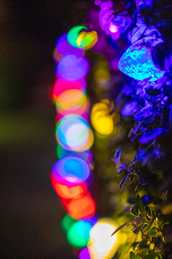 Holiday Lights