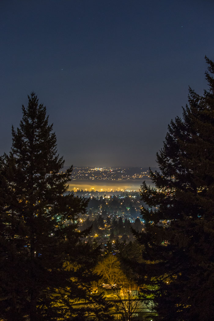 Portland After Dark