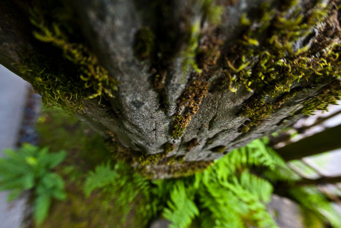 Portland Japanese Gardens