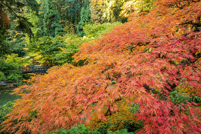 Portland Japanese Gardens