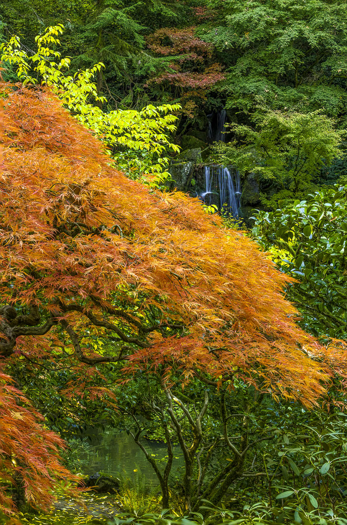 Portland Japanese Gardens