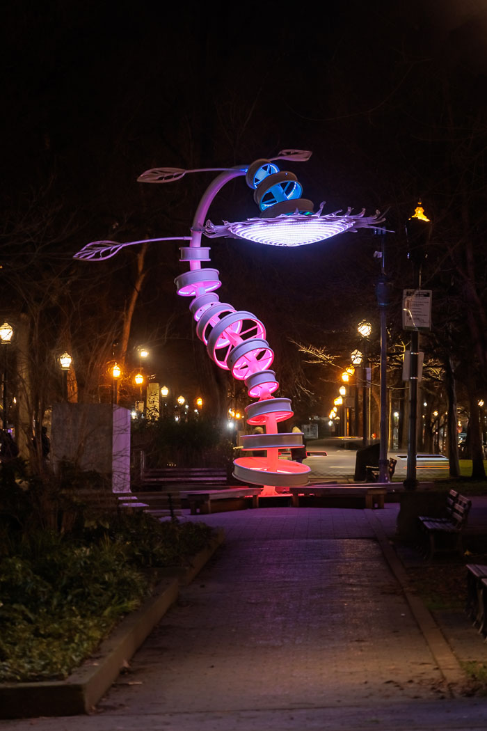 PDXlights