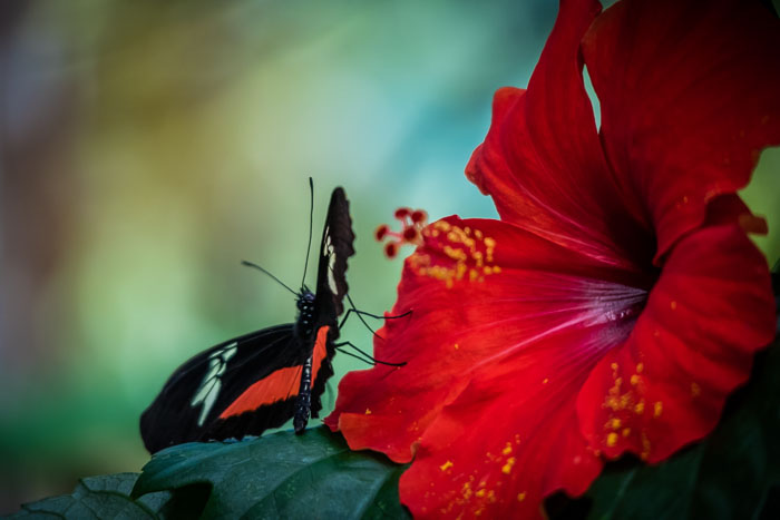 Seattle Center and Pacific Science Center