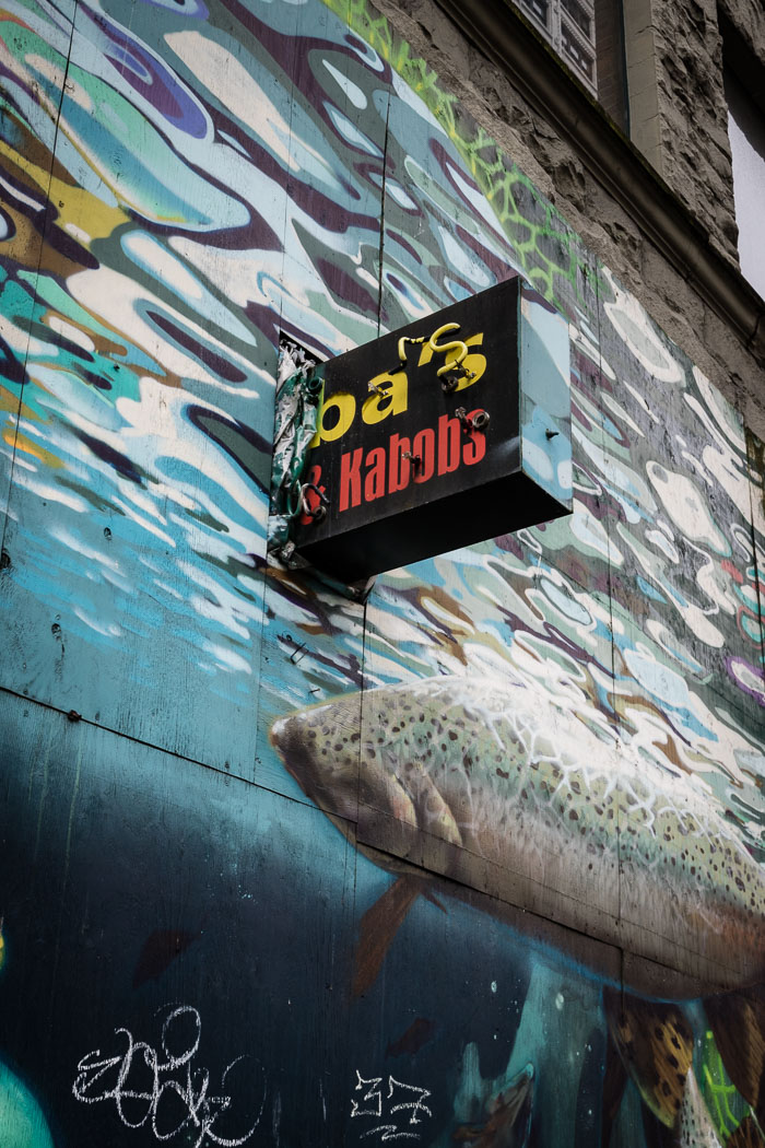 Seattle Photo Safari