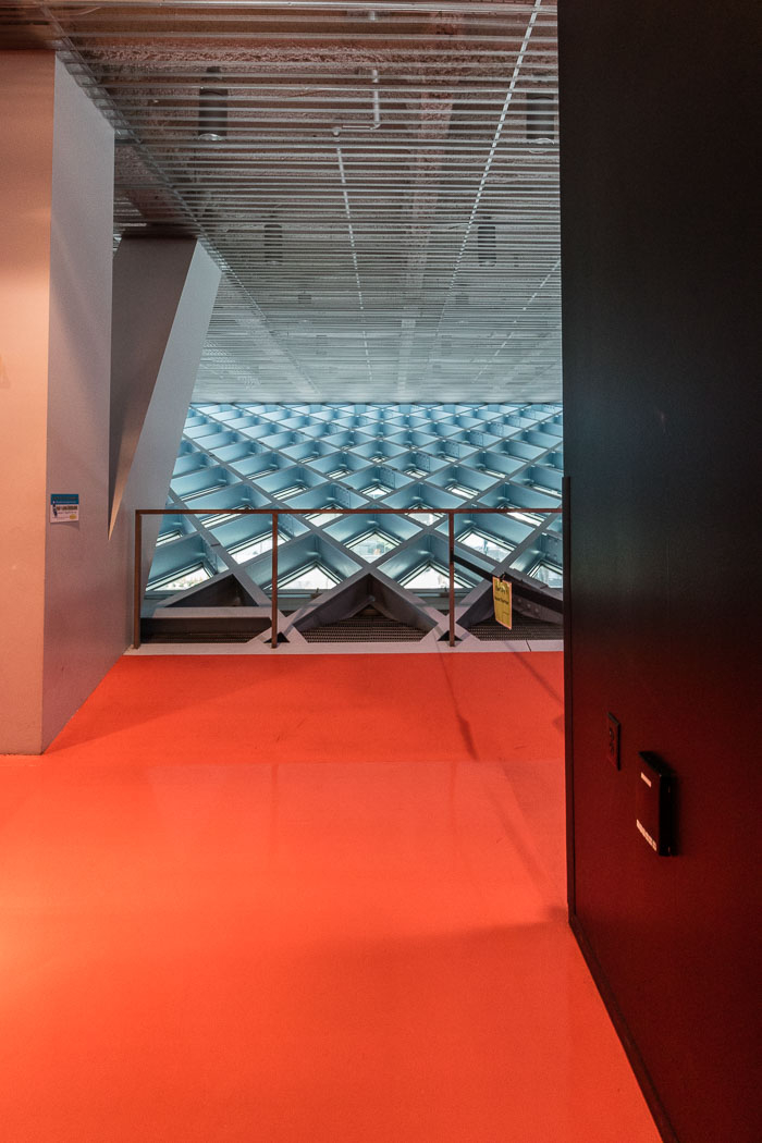 Seattle Photo Safari